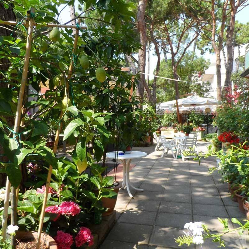 Hotel Selene Milano Marittima Buitenkant foto